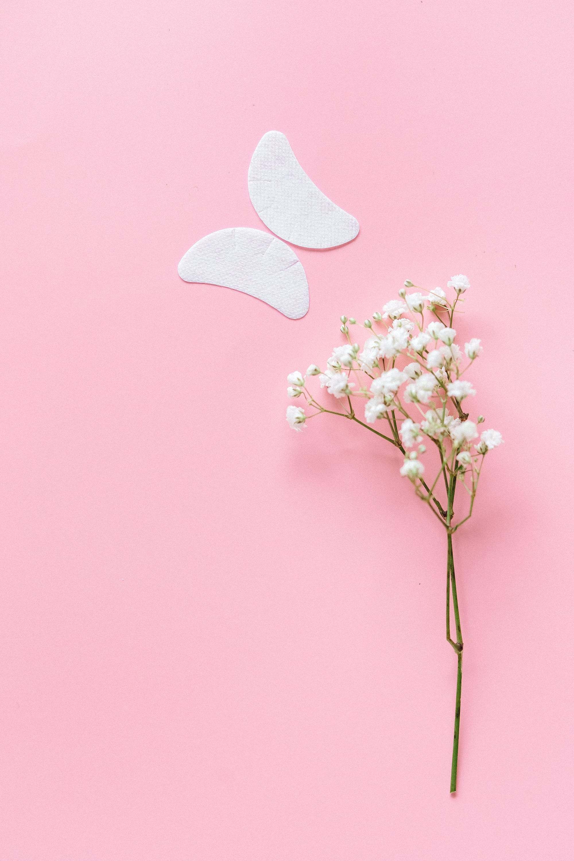 Parches hidratantes para el contorno de ojos junto a una ramita de paniculata sobre fondo rosa